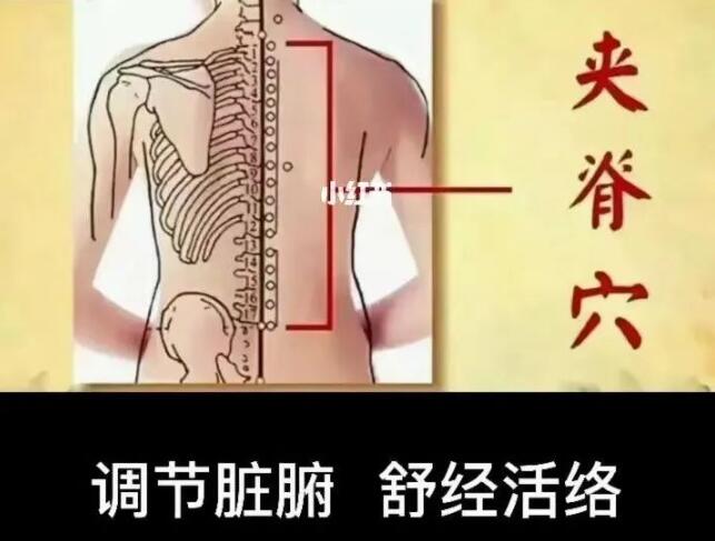 QQ؈D20230706083616.jpg