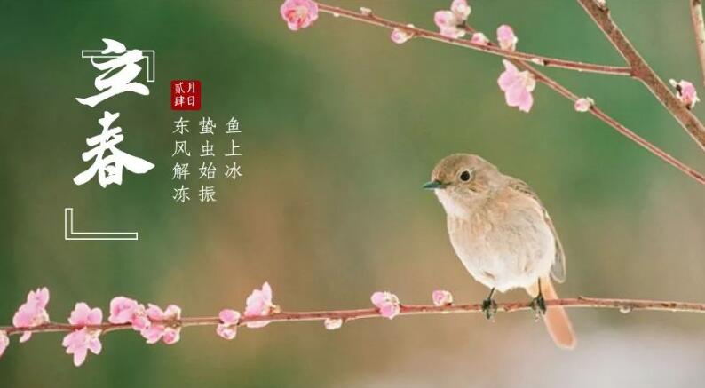 QQ؈D20240204155949.jpg