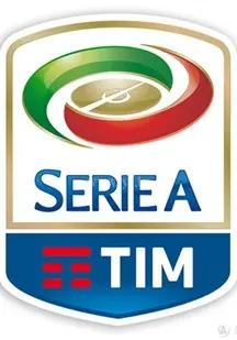 《意大利足球甲级联赛》：绿茵场上的史诗传奇，从激情四射到世界杯荣耀！