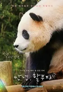 泪洒银幕：《再见，福宝》深度影评：熊猫背后的爱与伦理抉择